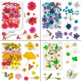 Dried Pressed Flowers, 170+ Pcs Mixed Dried Flowers for Resin, Bulk Natural Dry Floral Resin Fillers Decoration Accessories for DIY Crafts, oddava