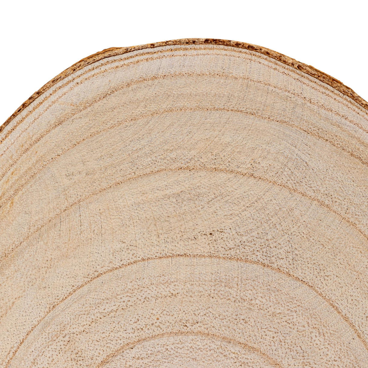 Creative Co-Op Small Paulownia Wood Pedestal with Metal Legs Creative Co-Op