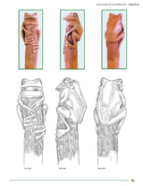 Hand Carving Your Own Walking Stick: An Art Form (Fox Chapel Publishing) Step-by-Step Instructions to Make Artisan-Quality Sticks, Canes, & Staffs Design Originals