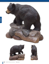 Power Carving Manual, Second Edition: Tools, Techniques, and 22 All-Time Favorite Projects (Fox Chapel Publishing) Step-by-Step Projects and Photos, Fox Chapel Publishing