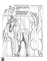 Woodcarver's Workbook: Two Volumes in One! (Fox Chapel Publishing) 16 Step-by-Step Woodcarving Projects with Illustrated Instructions, Patterns, Fox Chapel Publishing