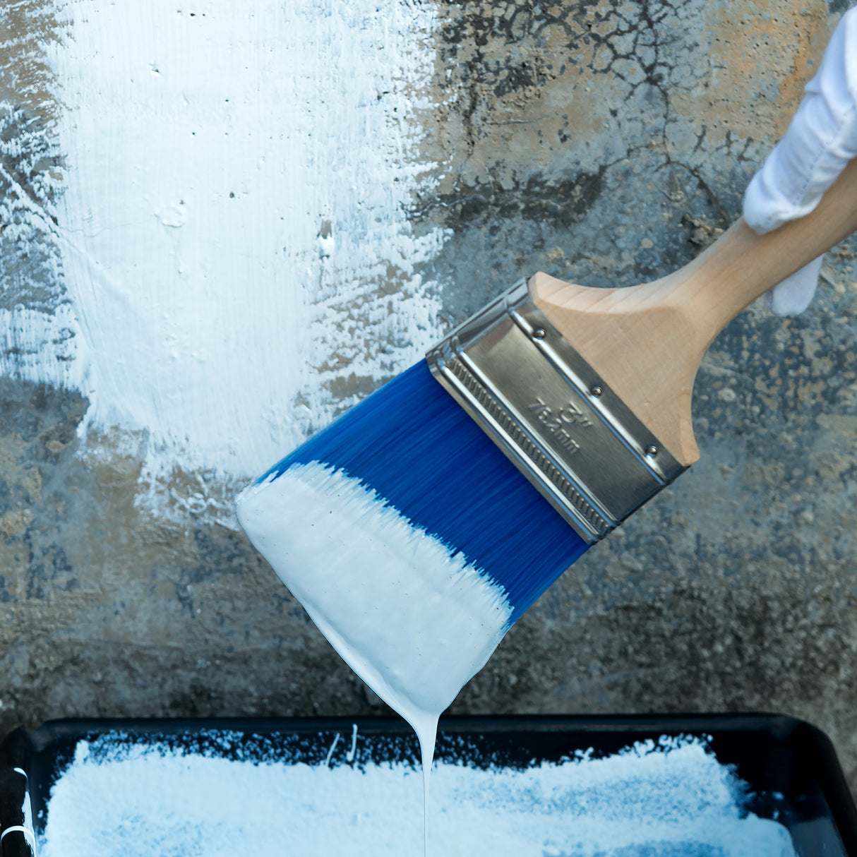 Bates Paint Roller - Paint Brush, Paint Tray, Roller Paint Brush, 11 Piece Home Painting Supplies, Foam Brush, House Painting Tray, Painting Tools, Bates Choice