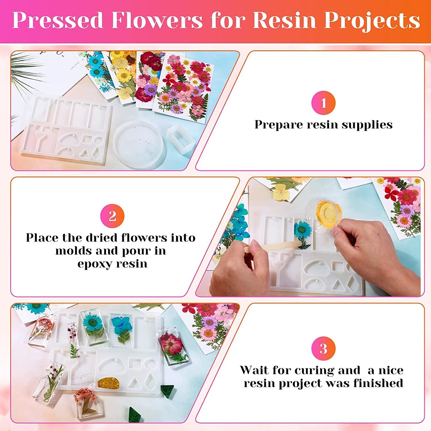 Pressed Flowers Resin Flowers for Resin Mold, Real Daisy Dried Flower –  WoodArtSupply