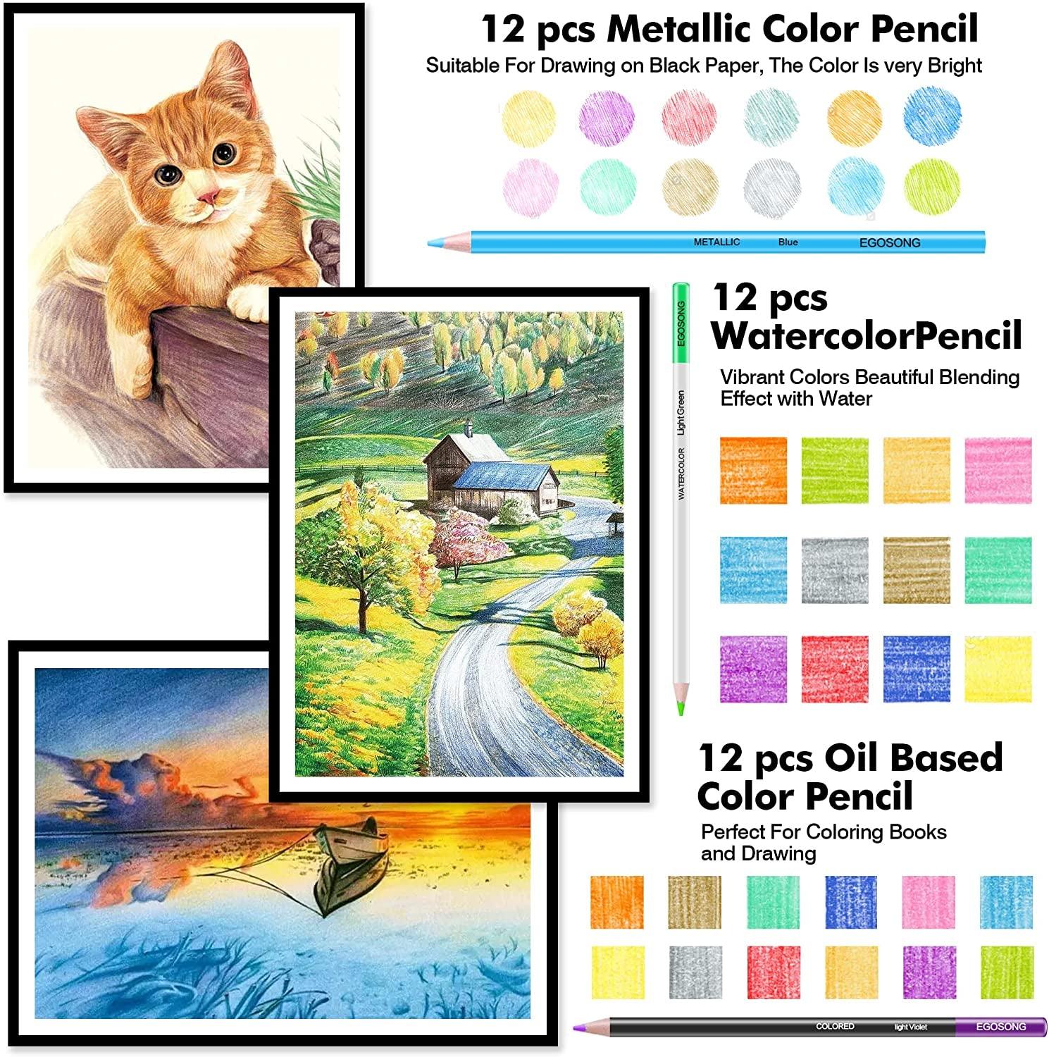 73 Pack Art Supplies Adults Teens Kids Beginners, Artist Drawing