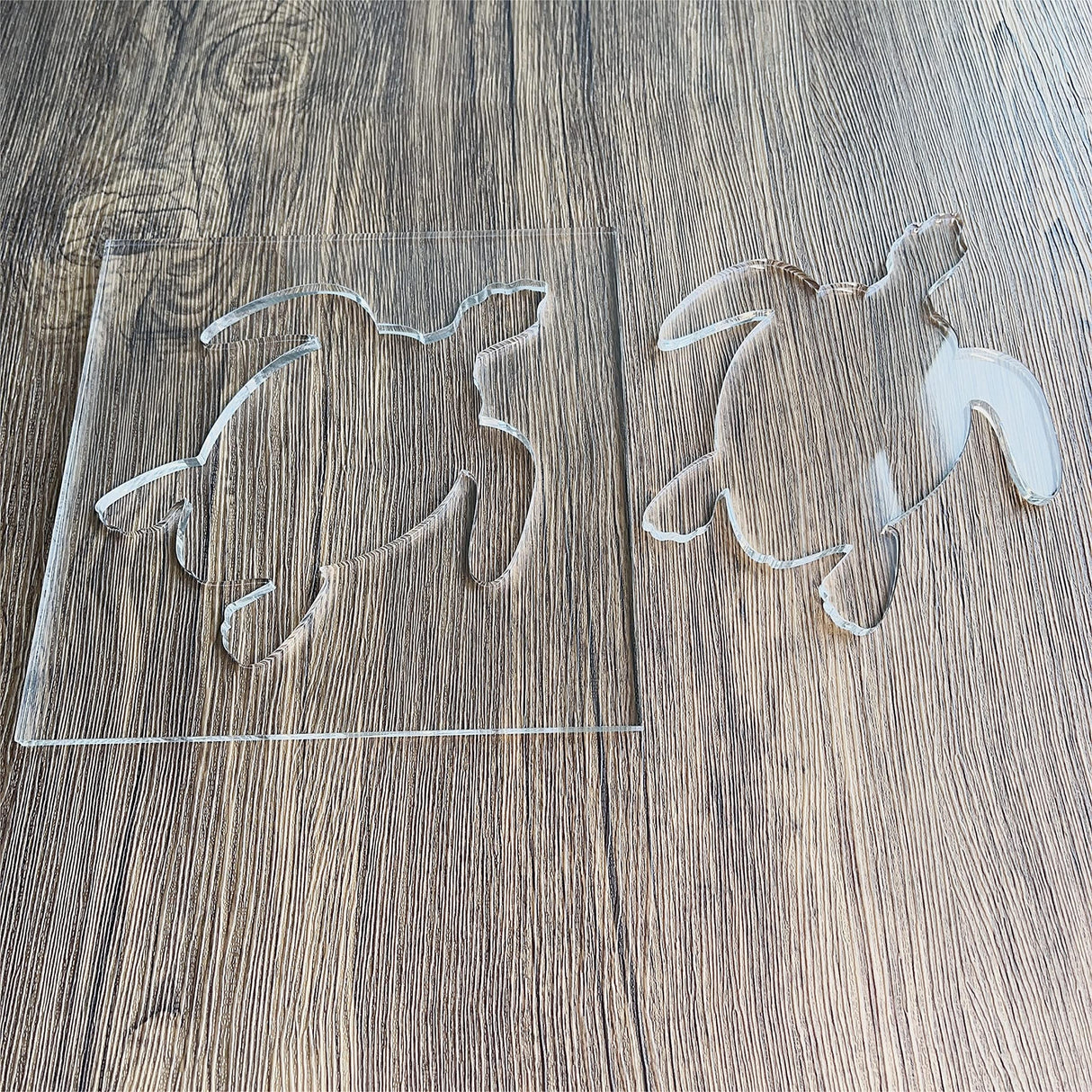 Sea Turtle Router Template, Clear Acrylic Template, Woodworking Router Template Phocaea