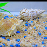 Coarse Silica Sand 2.2Lb for Bonsai Cacti Succulent and Carnivorous Plant Mix WoodArtSupply