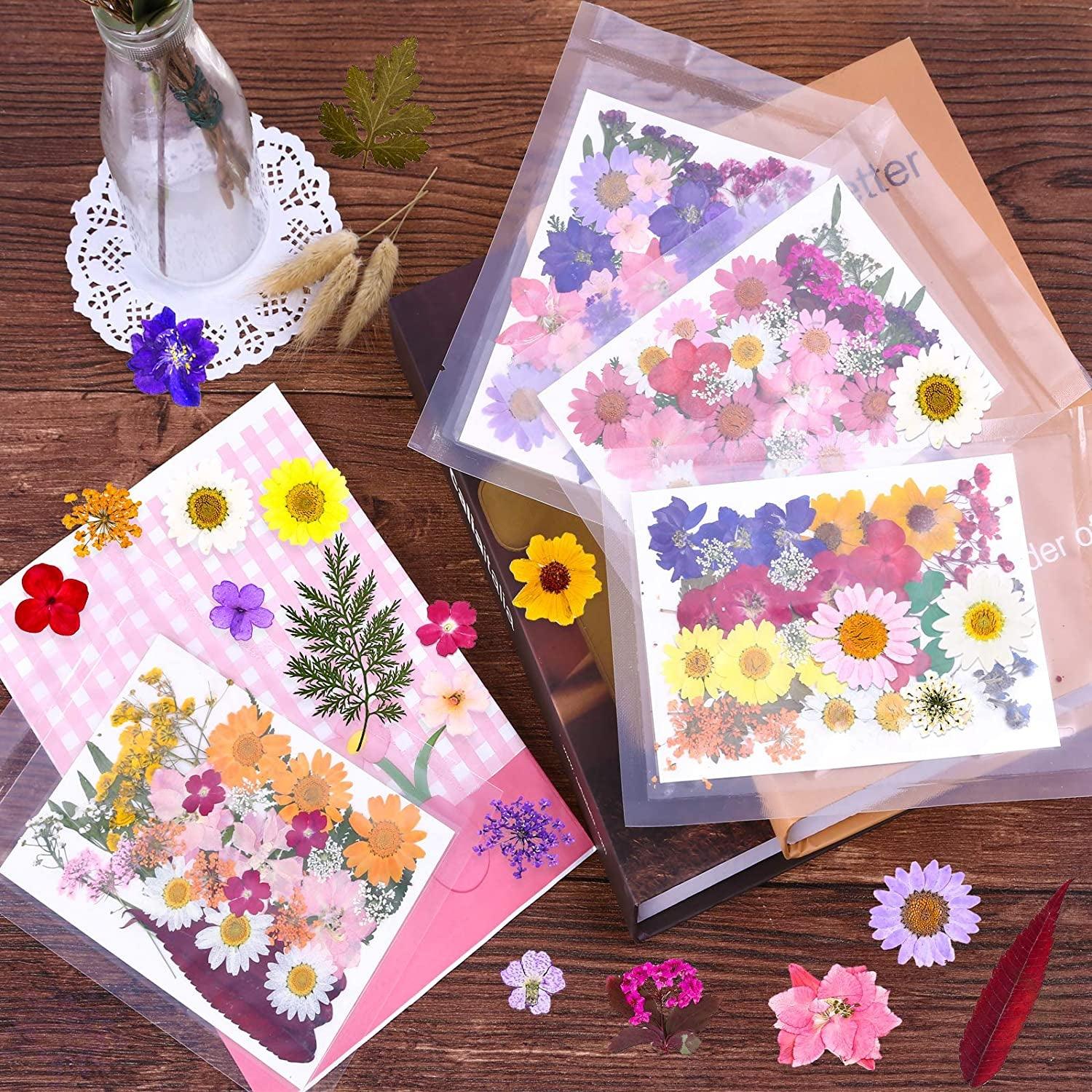 Dried Pressed Flowers for Resin Dry Leaves Bulk for Scrapbooking