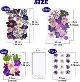 92 Pcs Purple Dried Pressed Flowers Real Natural Leave Petals for DIY Resin Candle Jewelry Nail Crafts WoodArtSupply