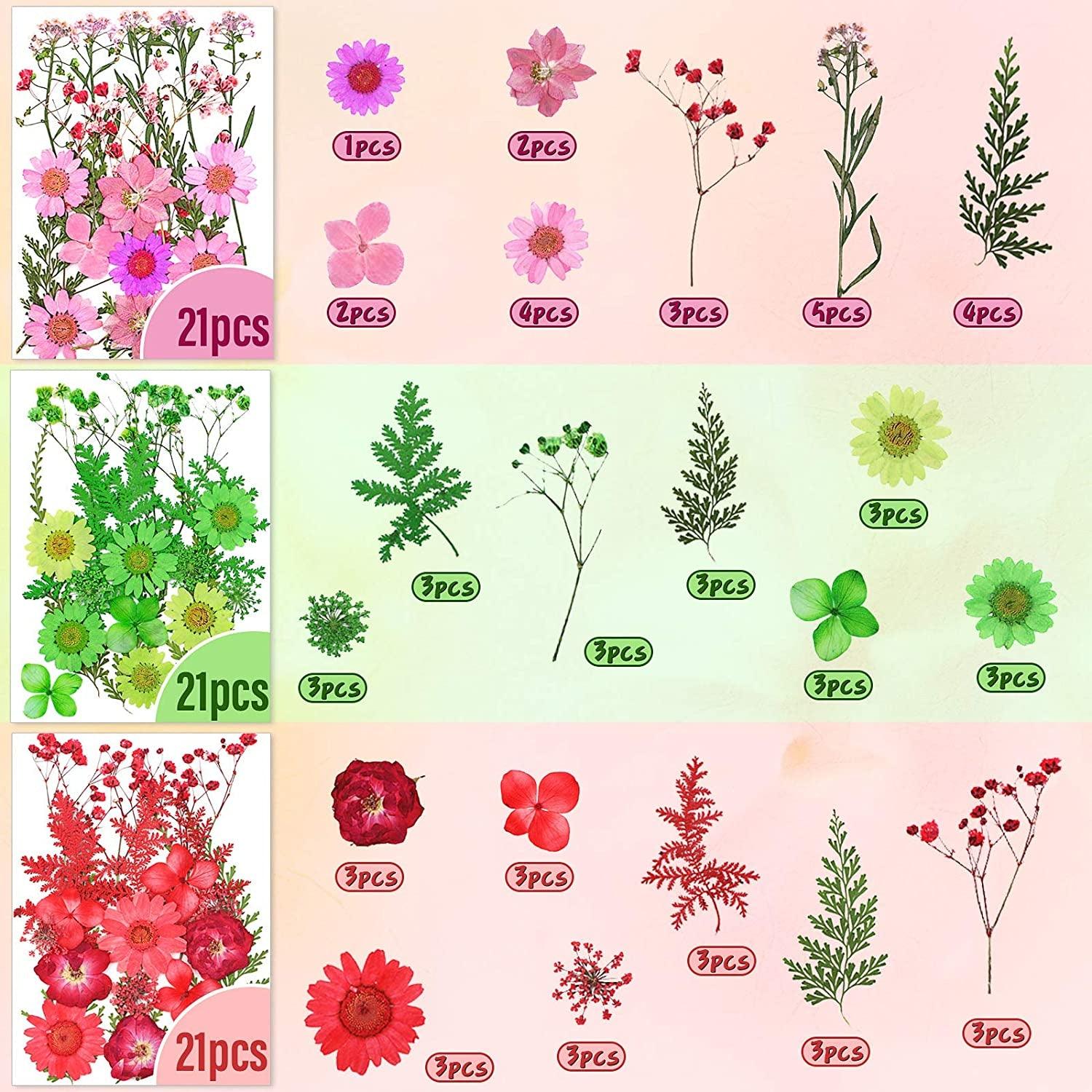 180 Pieces Dried Pressed Flowers and Butterfly Transparent Stickers Set  with Tweezer, Natural Mixed Dry Flowers Leaves for DIY Candle Nail Pendants