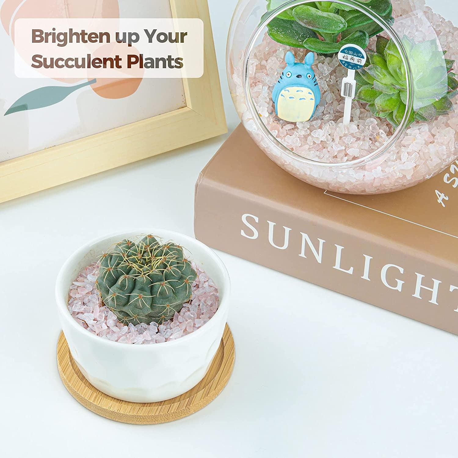 Tumbled Chips Stones Crushed Crystal Quartz 1 LB, Irregular Shaped Gravel Pebble Healing Stone, DIY Smoothed Rocks for Potted Plant,Resin Art,Vase WoodArtSupply