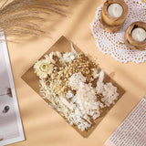 Real Dried Flowers, Natural Dried Flowers Mixed, Hydrangeas, Daisies, Natural Pressed Flowers White Decorative Dried Flowers for DIY Candle Resin WoodArtSupply