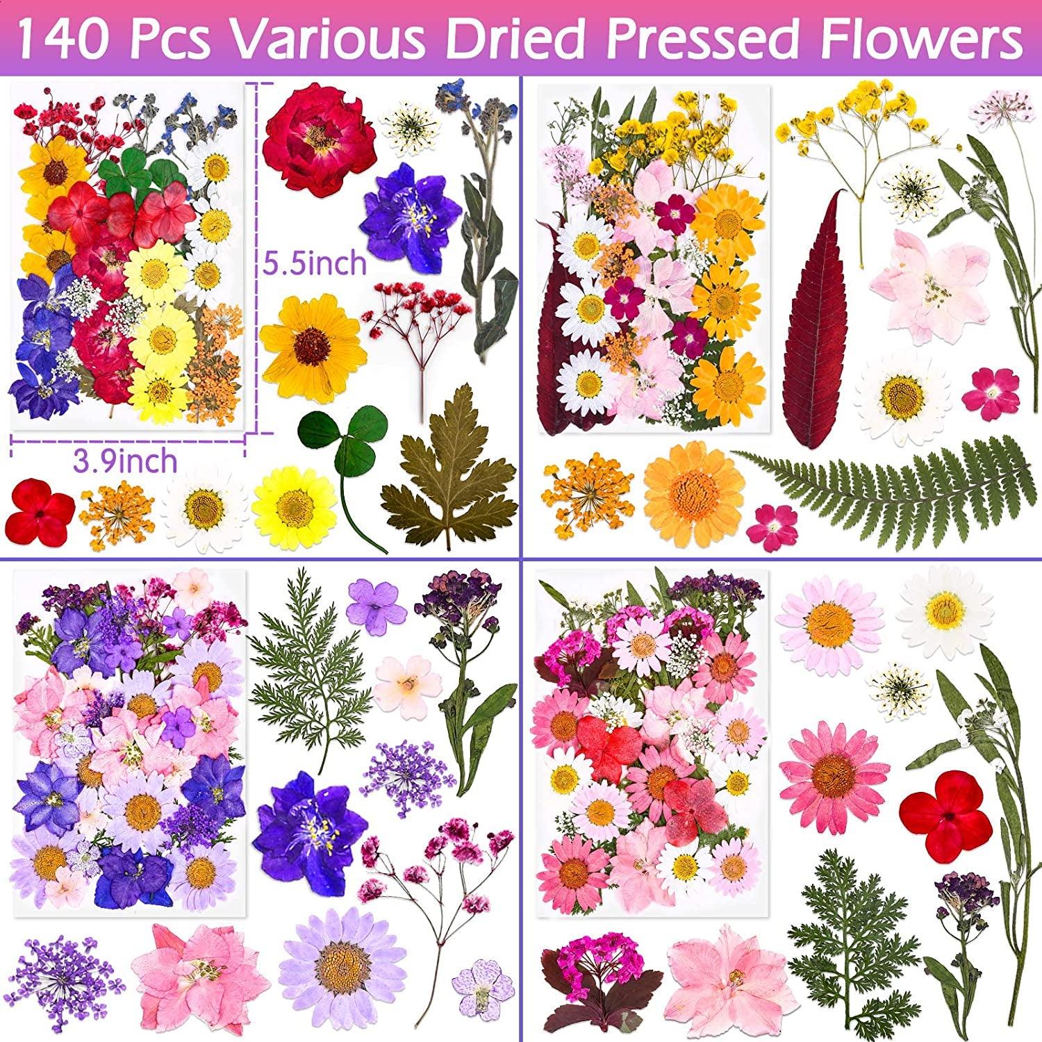 140 Pcs Dried Pressed Flowers for Resin, Real Pressed Flowers Dry Leaves Bulk Natural Herbs Kit for Scrapbooking DIY Art Crafts, Epoxy Resin Jewelry WoodArtSupply