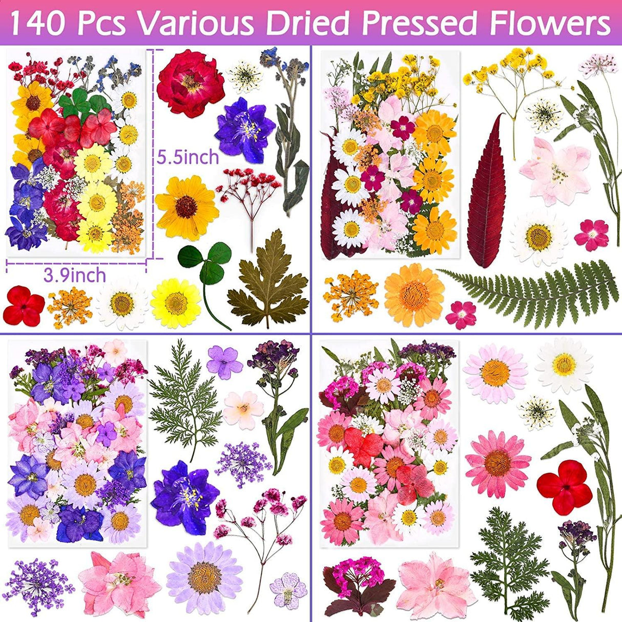 140 Pcs Dried Pressed Flowers for Resin, Real Pressed Flowers Dry Leaves Bulk Natural Herbs Kit for Scrapbooking DIY Art Crafts, Epoxy Resin Jewelry WoodArtSupply