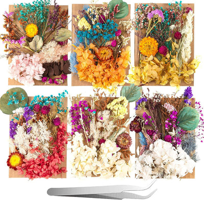 2 Random Boxes Pressed Flowers Dried Pressed Flowers for Resin Real Dried Flower Leaves Mixed Pressed Flower Colorful Real Dried Flower with Tweezers