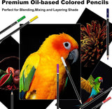 Colored Pencils for Adult Coloring Books, 72 Colored Professional Drawing Pencils, Art Supplies WoodArtSupply
