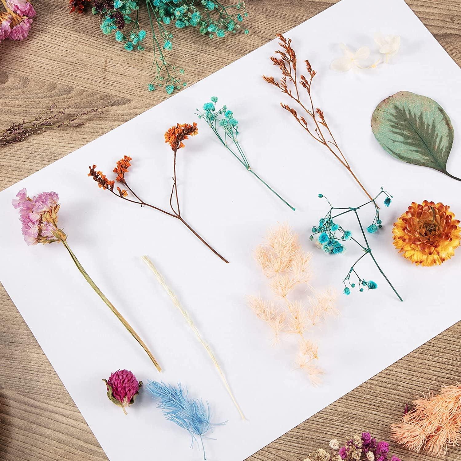2 Random Boxes Pressed Flowers Dried Pressed Flowers for Resin Real Dried Flower Leaves Mixed Pressed Flower Colorful Real Dried Flower with Tweezers WoodArtSupply