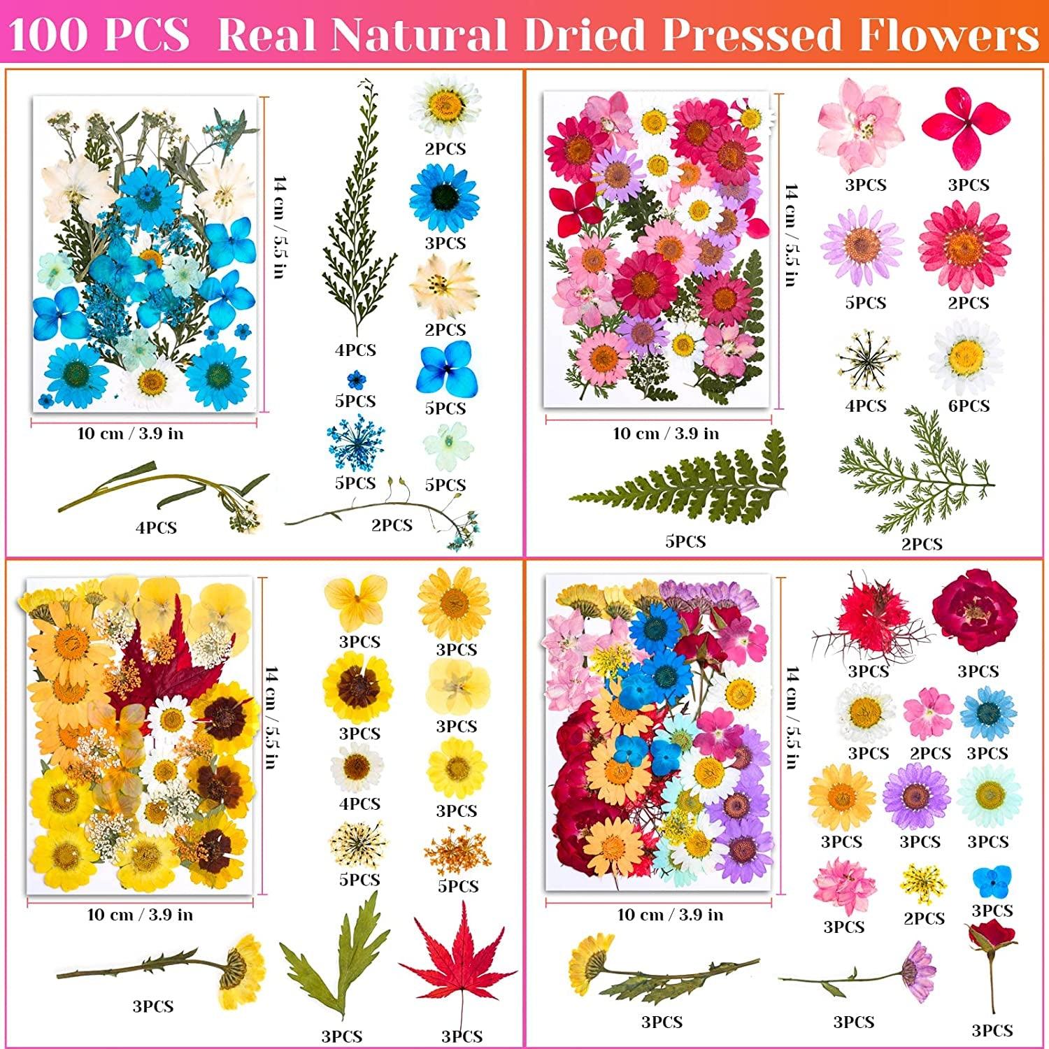 140 Pcs Dried Pressed Flowers for Resin, Real Pressed Flowers Dry Leaves  Bulk Natural Herbs Kit for Scrapbooking DIY Art Crafts, Epoxy Resin Jewelry