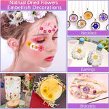 140 Pcs Dried Pressed Flowers for Resin, Real Pressed Flowers Dry Leaves Bulk Natural Herbs Kit for Scrapbooking DIY Art Crafts, Epoxy Resin Jewelry WoodArtSupply