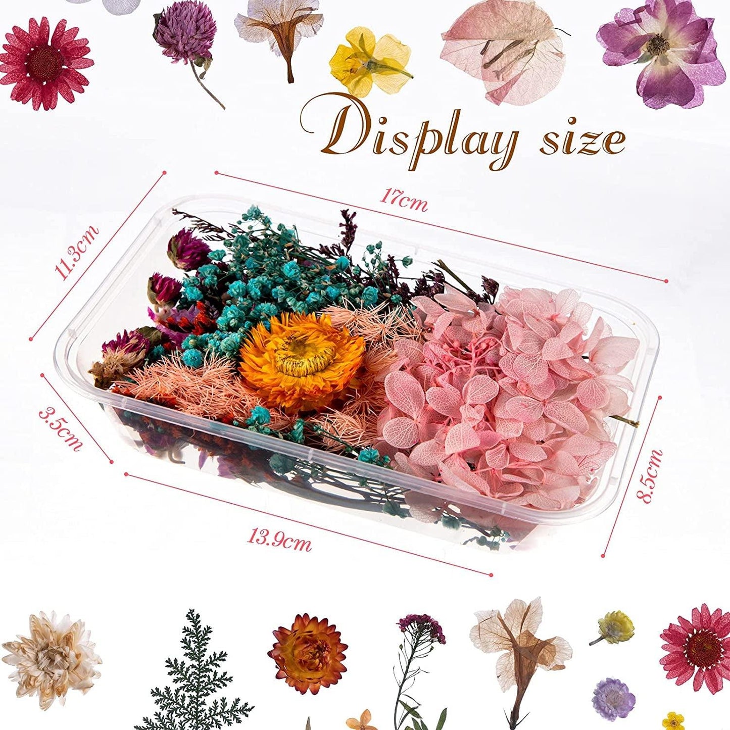 2 Random Boxes Pressed Flowers Dried Pressed Flowers for Resin Real Dried Flower Leaves Mixed Pressed Flower Colorful Real Dried Flower with Tweezers for Resin Jewelry DIY Making Wedding - WoodArtSupply