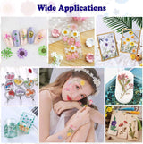 92 Pcs Purple Dried Pressed Flowers Real Natural Leave Petals for DIY Resin Candle Jewelry Nail Crafts WoodArtSupply