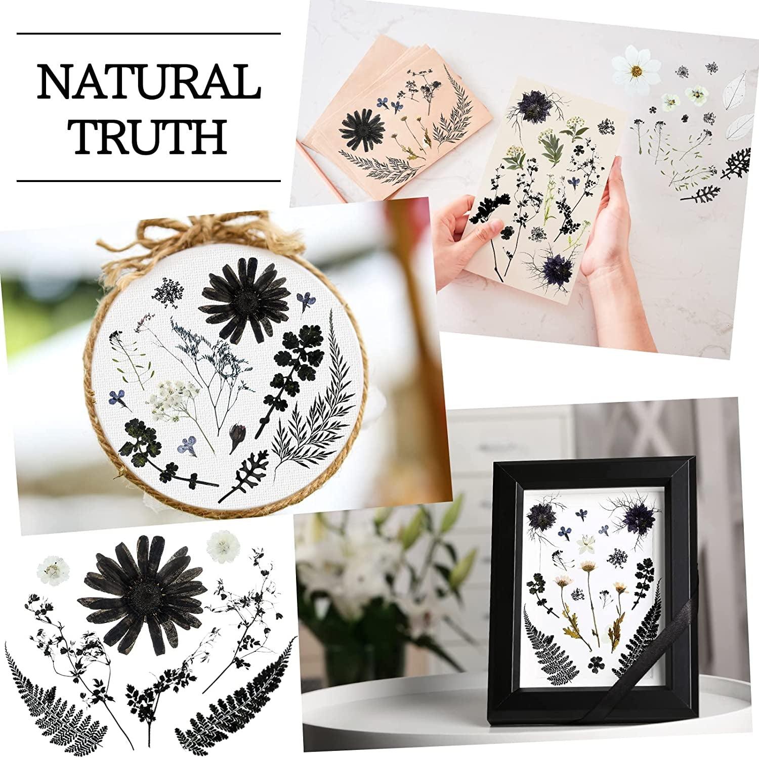 Pressed Flowers Resin Flowers for Resin Mold, Real Daisy Dried Flower Leaves Natural with Tweezers for Scrapbooking DIY Candle Accessories Jewelry WoodArtSupply