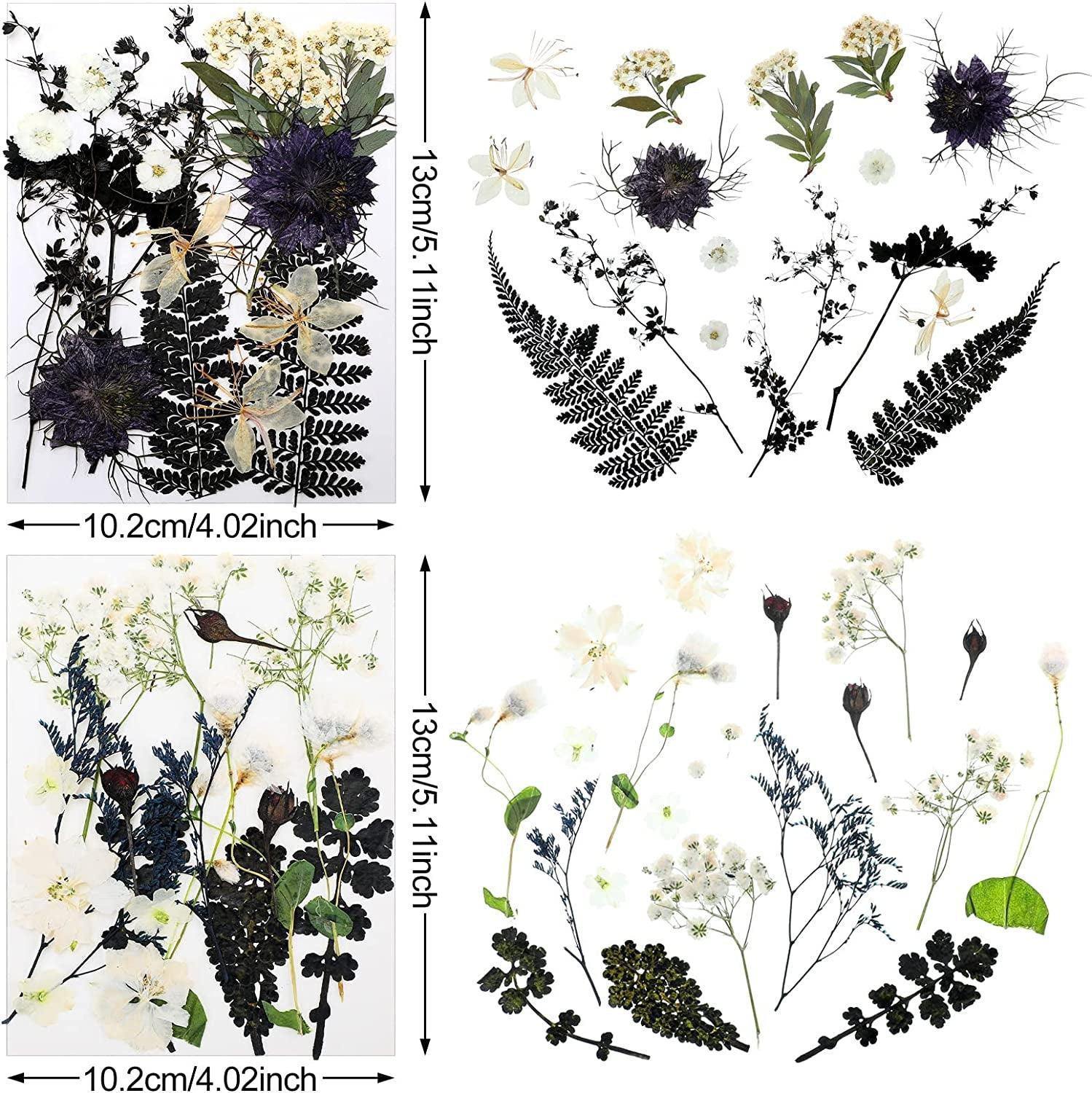 Pressed Flowers Resin Flowers for Resin Mold, Real Daisy Dried Flower Leaves Natural with Tweezers for Scrapbooking DIY Candle Accessories Jewelry WoodArtSupply