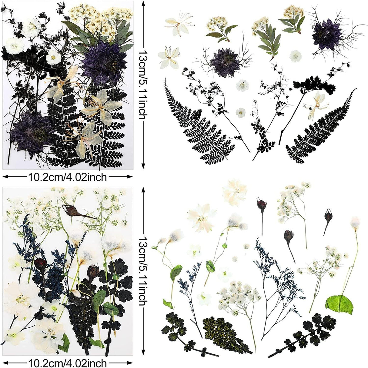 Pressed Flowers Resin Flowers for Resin Mold, Real Daisy Dried Flower Leaves Natural with Tweezers for Scrapbooking DIY Candle Accessories Jewelry WoodArtSupply