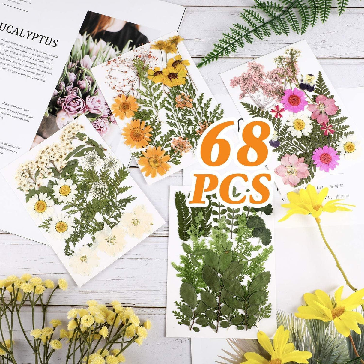 Pressed Flowers Resin Flowers for Resin Mold, Real Daisy Dried Flower Leaves Natural with Tweezers for Scrapbooking DIY Candle Accessories Jewelry WoodArtSupply