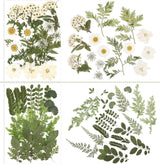 Pressed Flowers Resin Flowers for Resin Mold, Real Daisy Dried Flower Leaves Natural with Tweezers for Scrapbooking DIY Candle Accessories Jewelry WoodArtSupply