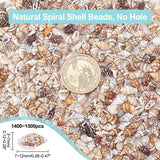 1400-1500Pcs Sea Shell Beads 7-12Mm Tiny Crushed Shells Miniature Shells NO Hole Seashells Ocean Spiral Seashells for Resin Candle Home Party Wedding WoodArtSupply