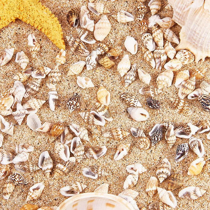 1400-1500Pcs Sea Shell Beads 7-12Mm Tiny Crushed Shells Miniature Shells NO Hole Seashells Ocean Spiral Seashells for Resin Candle Home Party Wedding Fish Tank Vase Filler - WoodArtSupply