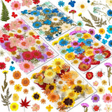 Real Dried Pressed Flowers for Resin, Natural Dry Flowers Leaves Bulk Herbs Kit for DIY Scrapbooking Stamping Supplies Epoxy Resin Jewelry Molds WoodArtSupply