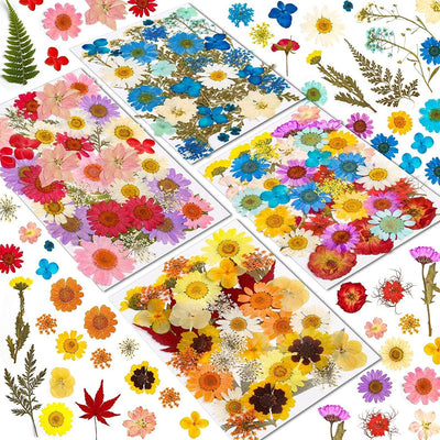 Real Dried Pressed Flowers for Resin, Natural Dry Flowers Leaves Bulk Herbs Kit for DIY Scrapbooking Stamping Supplies Epoxy Resin Jewelry Molds