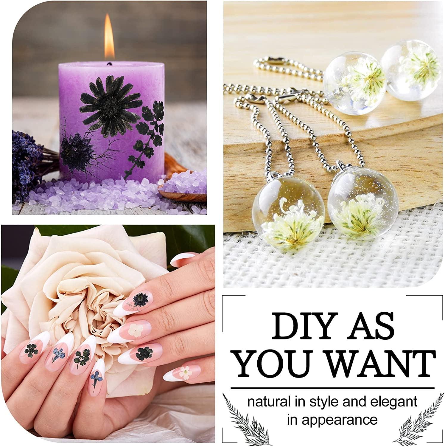 Pressed Flowers Resin Flowers for Resin Mold, Real Daisy Dried Flower Leaves Natural with Tweezers for Scrapbooking DIY Candle Accessories Jewelry WoodArtSupply