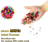 Cellluck Decoration Kit for Resin, Jewelry Making Supplies with Resin Glitters, Sequins, Fruit Slices and Dried Flowers for Resin Art, WoodArtSupply