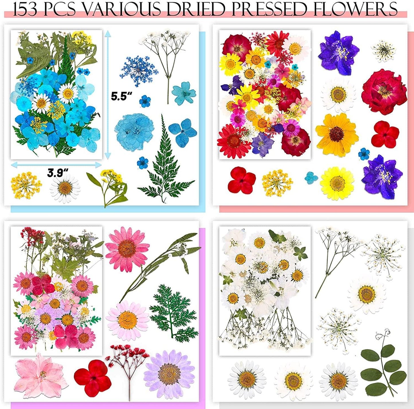 153Pcs Dried Pressed Flowers for Resin, Real Pressed Flowers with Tweezers, Multiple Colorful Resin Dry Flowers Bulk for Craft, Resin Mold, Jewelry Making, Candle and Nails Decoration - WoodArtSupply