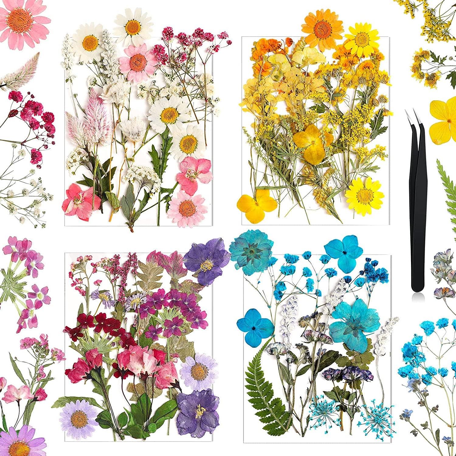 Pressed Flowers Resin Flowers for Resin Mold, Real Daisy Dried Flower Leaves Natural with Tweezers for Scrapbooking DIY Candle Accessories Jewelry WoodArtSupply