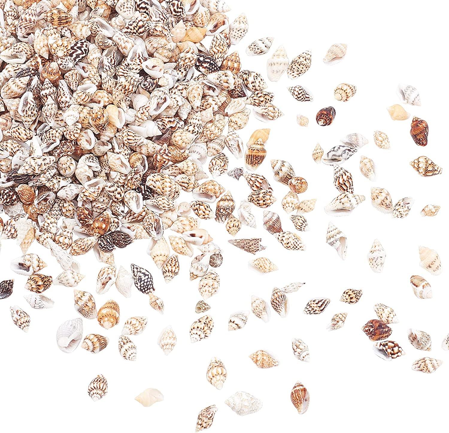 1400-1500Pcs Sea Shell Beads 7-12Mm Tiny Crushed Shells Miniature Shells NO Hole Seashells Ocean Spiral Seashells for Resin Candle Home Party Wedding WoodArtSupply