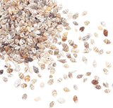 1400-1500Pcs Sea Shell Beads 7-12Mm Tiny Crushed Shells Miniature Shells NO Hole Seashells Ocean Spiral Seashells for Resin Candle Home Party Wedding WoodArtSupply