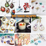 92 Pcs Purple Dried Pressed Flowers Real Natural Leave Petals for DIY Resin Candle Jewelry Nail Crafts WoodArtSupply