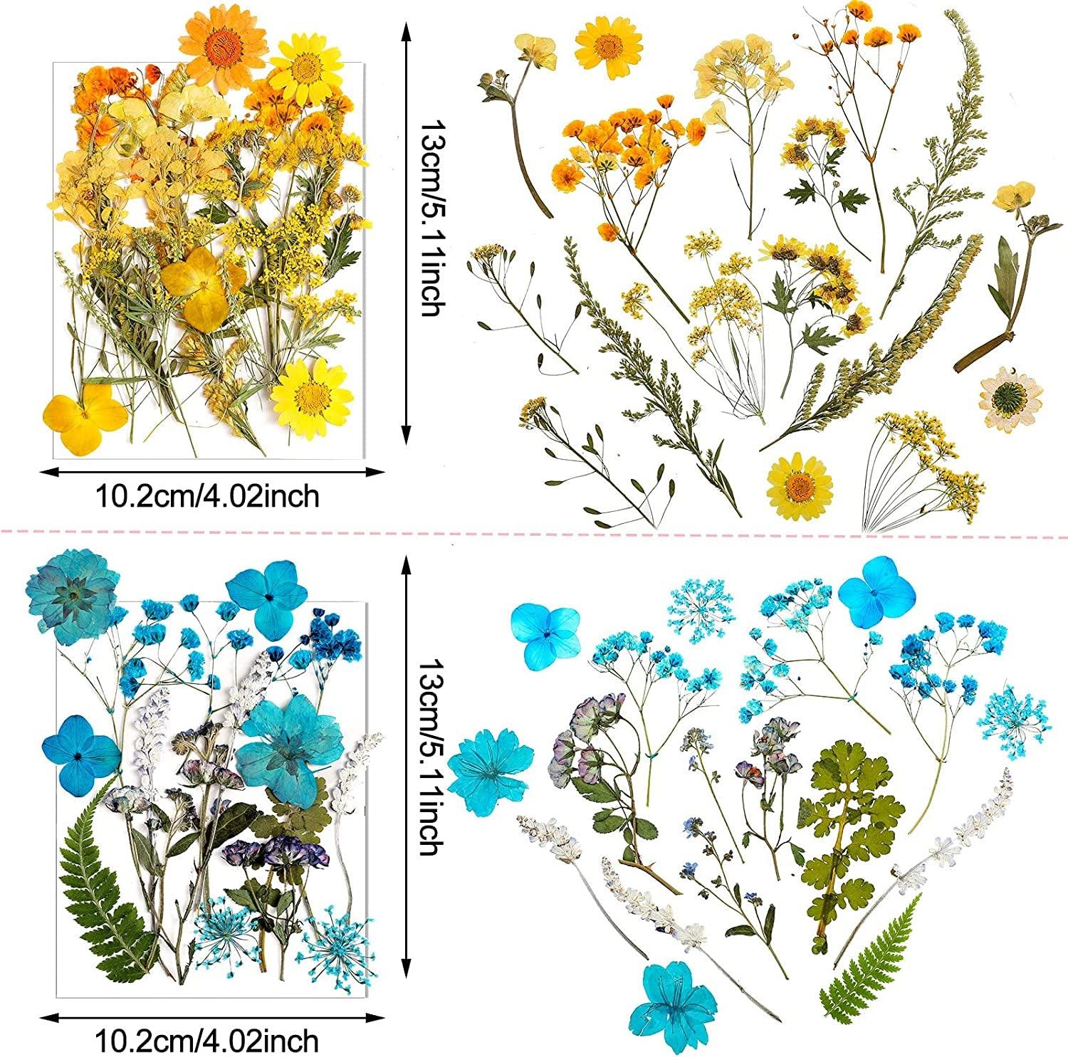 Pressed Flowers Resin Flowers for Resin Mold, Real Daisy Dried Flower Leaves Natural with Tweezers for Scrapbooking DIY Candle Accessories Jewelry WoodArtSupply