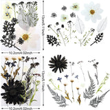 Pressed Flowers Resin Flowers for Resin Mold, Real Daisy Dried Flower Leaves Natural with Tweezers for Scrapbooking DIY Candle Accessories Jewelry WoodArtSupply