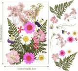 Pressed Flowers Resin Flowers for Resin Mold, Real Daisy Dried Flower Leaves Natural with Tweezers for Scrapbooking DIY Candle Accessories Jewelry WoodArtSupply